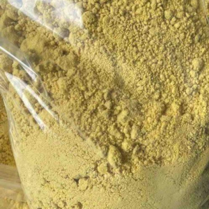 import placeholder for 1099