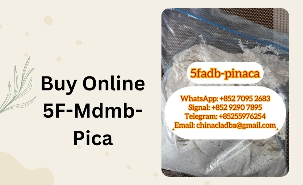 5F-Mdmb-Pica: Essential Facts and Safety Tips You Need Now 5F-Mdmb-Pica